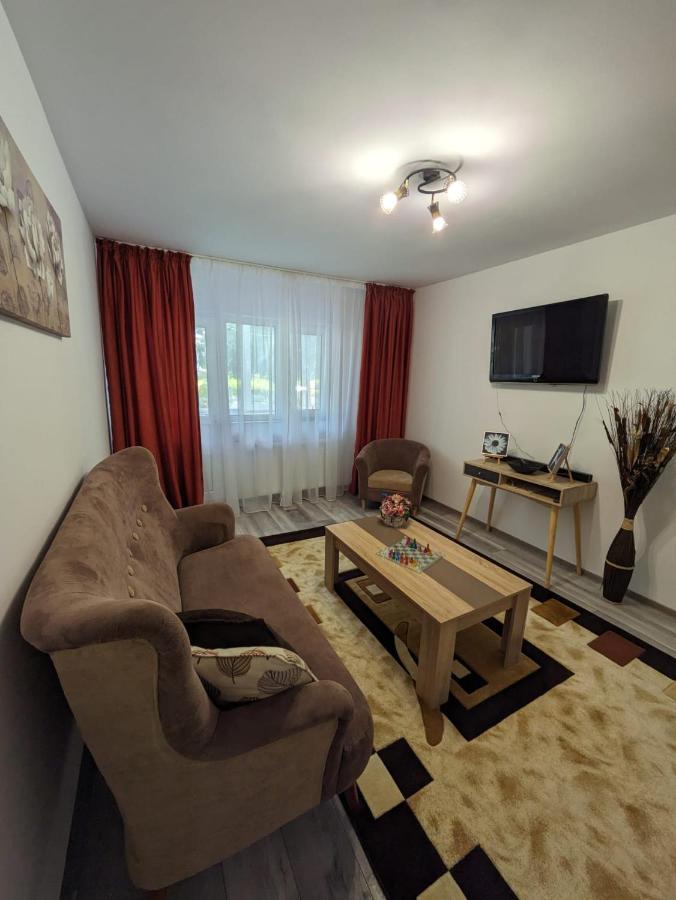 סלניק מולדובה Apartamentul Alfa מראה חיצוני תמונה