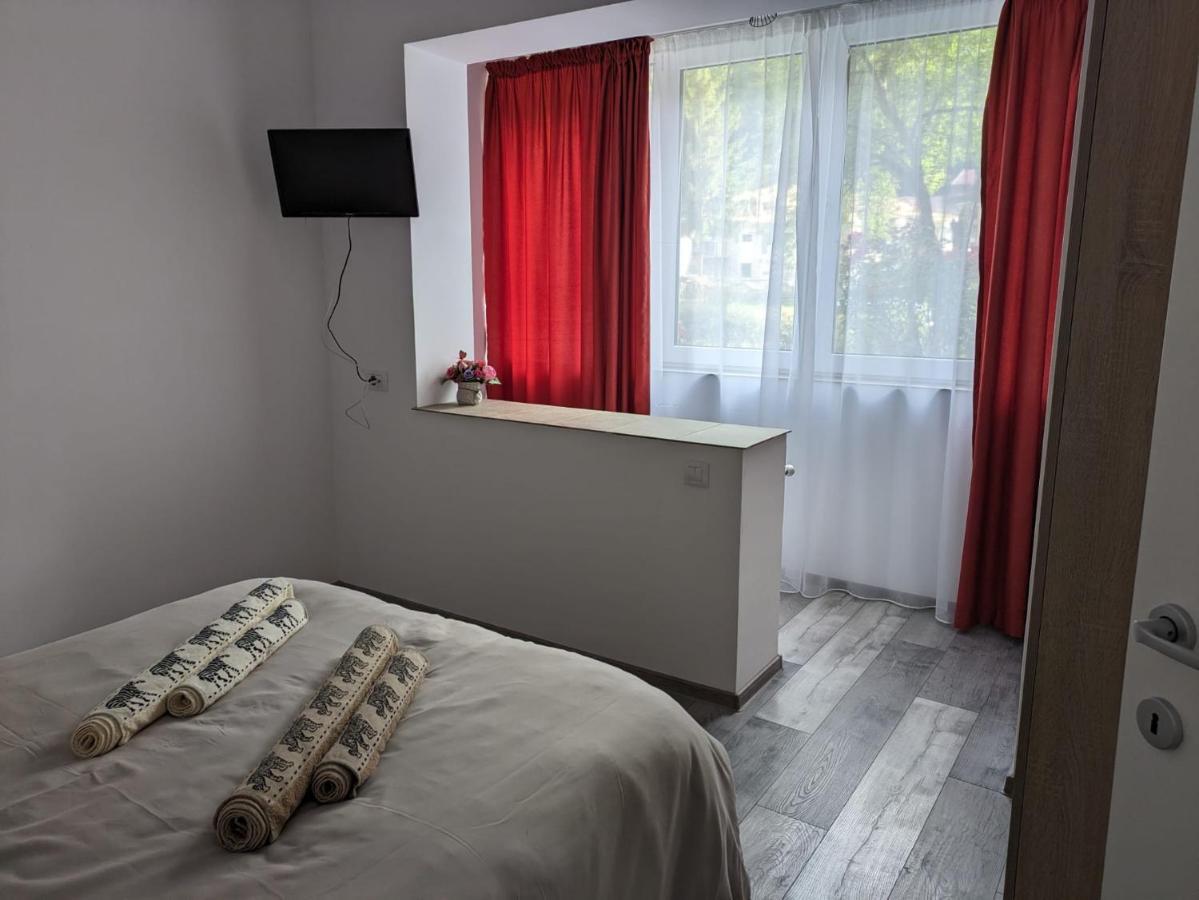 סלניק מולדובה Apartamentul Alfa מראה חיצוני תמונה