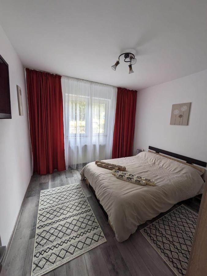 סלניק מולדובה Apartamentul Alfa מראה חיצוני תמונה