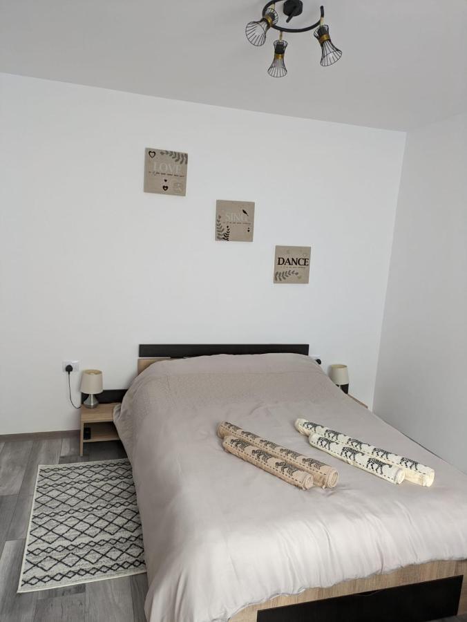 סלניק מולדובה Apartamentul Alfa מראה חיצוני תמונה